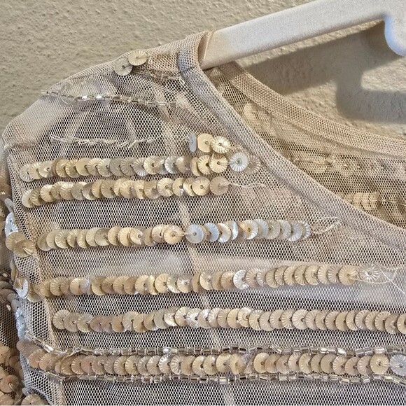 Johnny Was Champagne Beaded Mesh Dress Sz 8 NWT - Picture 10 of 13